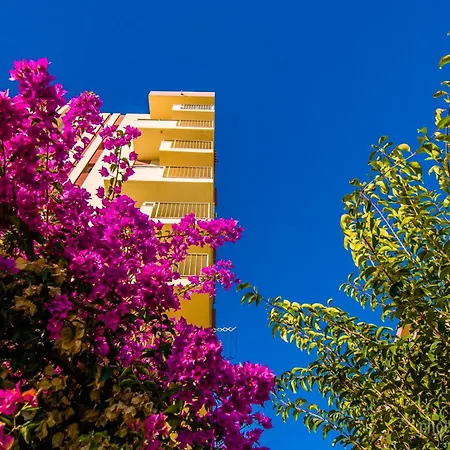 Apartamento 426 Estudio En Minerva - Vista Al Jardin - Piscina Y Playa *